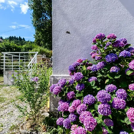 Maison La Mirabelle Nyaraló *